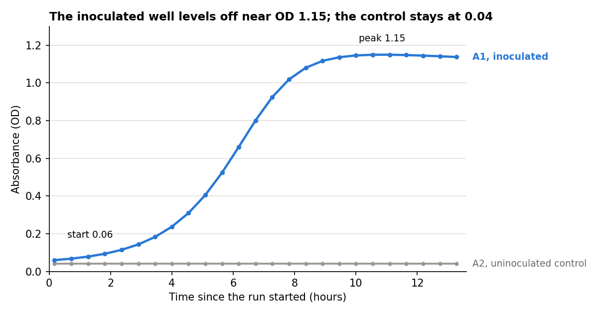 Absorbance of wells A1 and A2 over the 13 hours of the worked example
